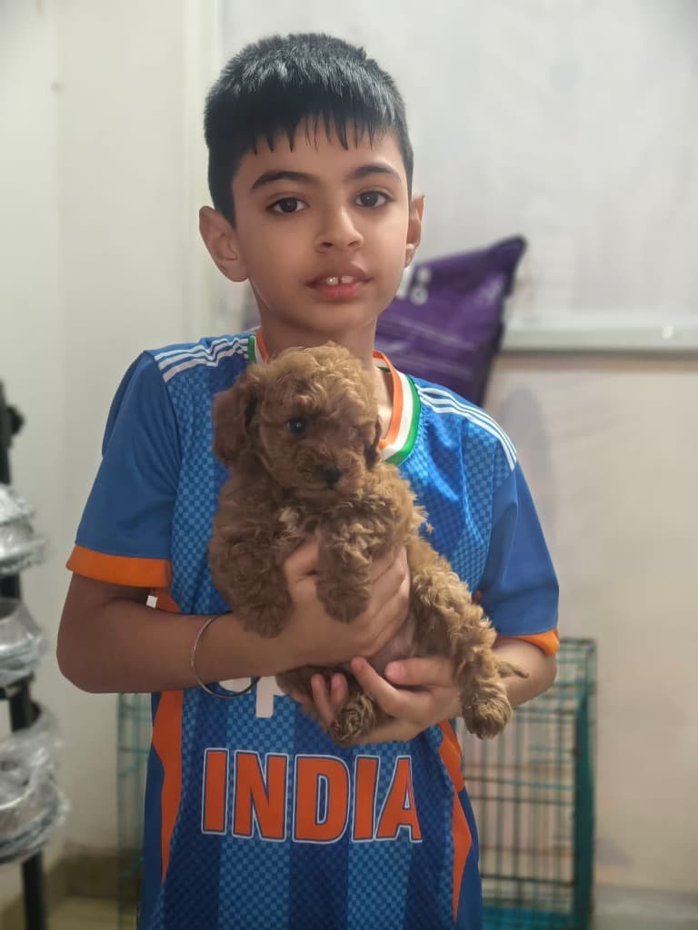 Master Aarav with Toy Poodle